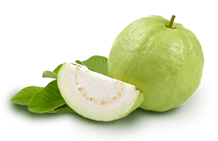 White Guava Pulp — ARHAS Foods and Beverages